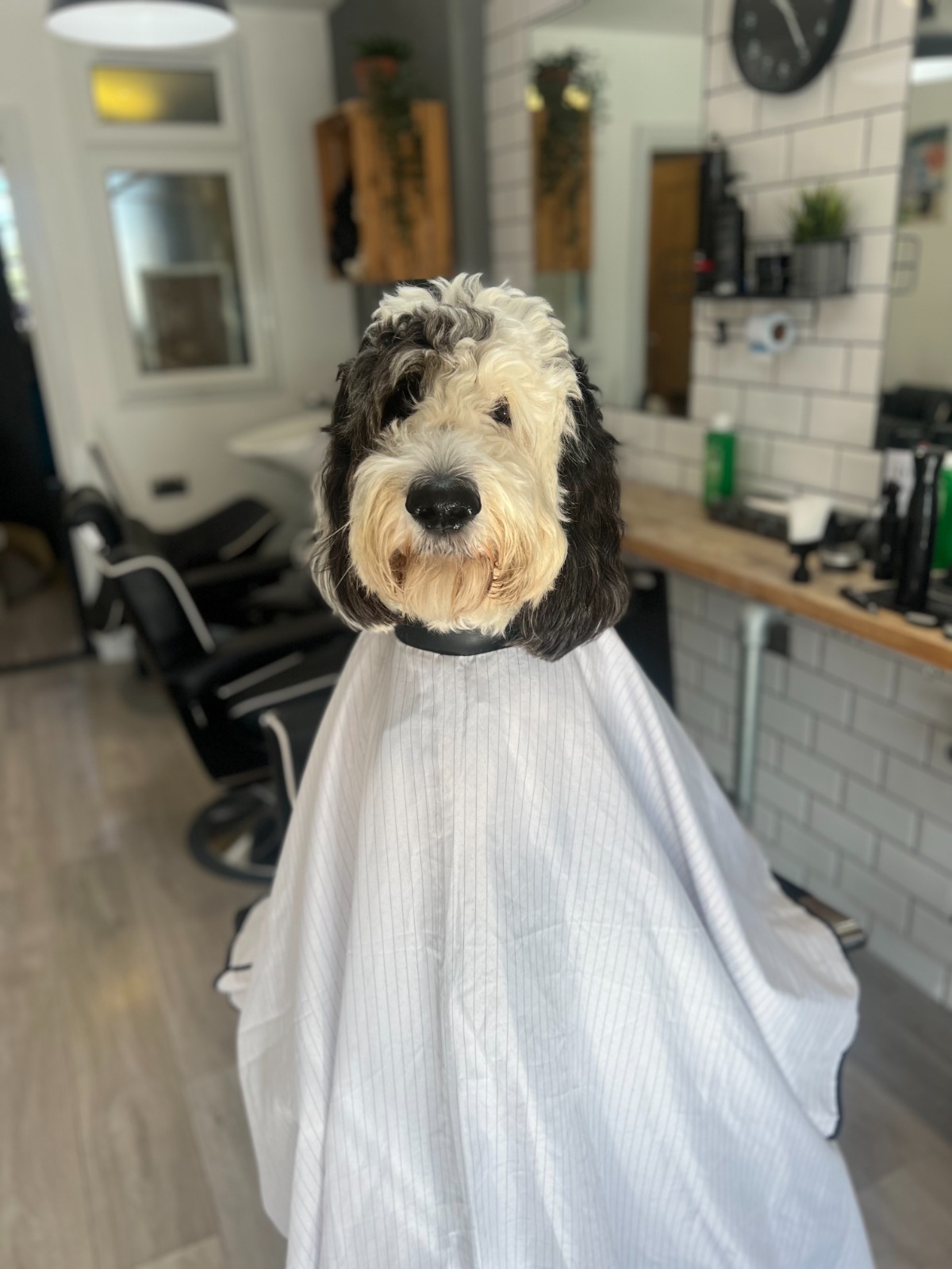 Barber in Bath